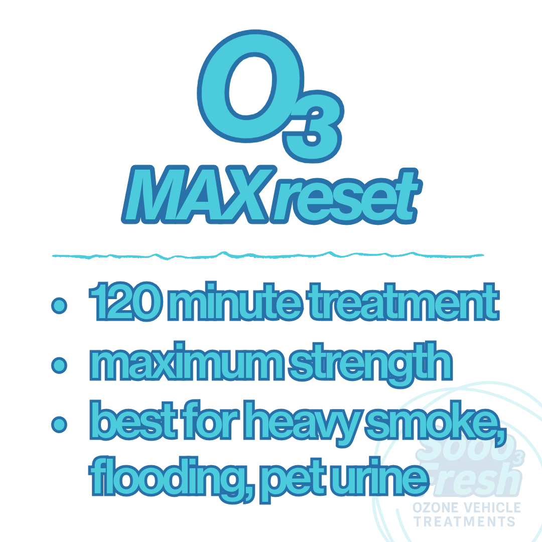 03 Max Reset